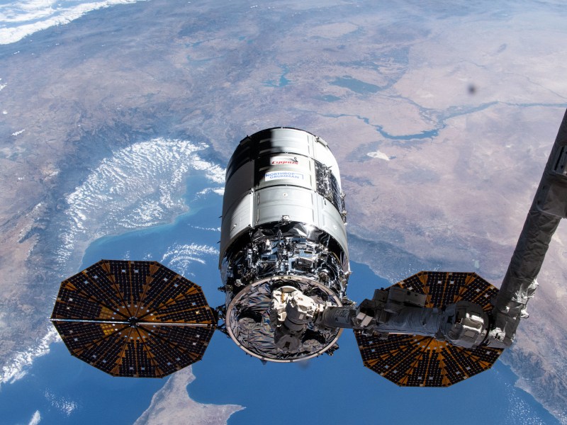 Cygnus