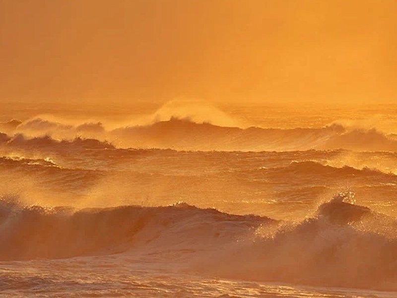 Ocean Surface Winds